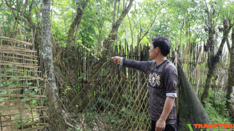 Người dân nghèo vùng cao Lào Cai mong muốn có nơi ở mới