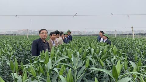 Thành công trong xây dựng nông thôn mới nâng cao ở xã Tự Lập