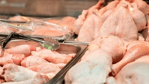 Hàng chục ngàn tấn gà thải loại được nhập lậu mỗi tháng