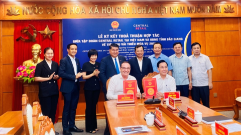 Hợp tác tiêu thụ vải thiều mùa vụ 2023