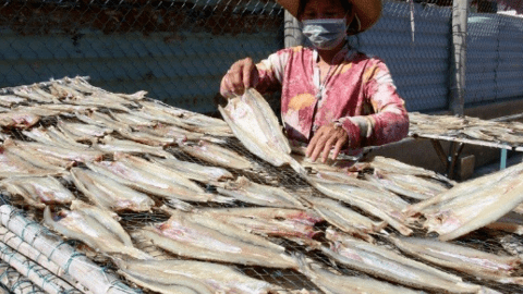 Cá khô, cá hộp trở thành "ngôi sao sáng" trong xuất khẩu