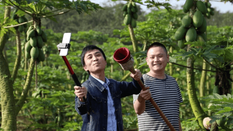 Những ngôi làng "cùng làm giàu" bởi ai cũng biết… livestream