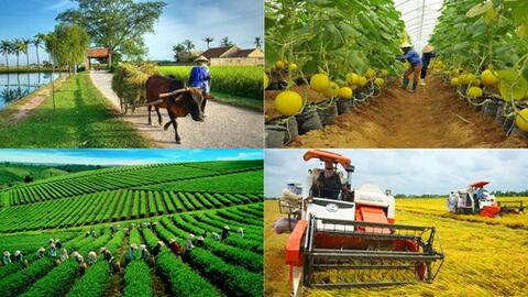 Phát triển nông nghiệp sinh thái, nông thôn hiện đại và nông dân văn minh