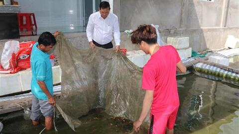 Hiệu quả từ chuyển đổi đất lúa kém hiệu quả sang cây trồng khác