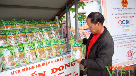 Tam Đường phát triển sản phẩm OCOP