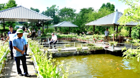 Khơi thông cơ chế phát triển nông nghiệp xanh