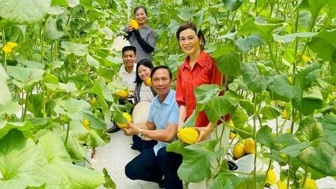 Hiệu quả mô hình sản xuất nông nghiệp công nghệ cao ở Sơn Tây