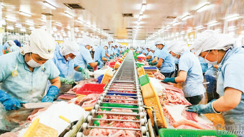 ĐBSCL - Xuất khẩu cá tra còn nhiều khó khăn 