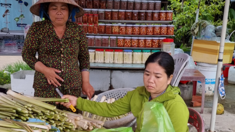 Giá bồn bồn tăng 
