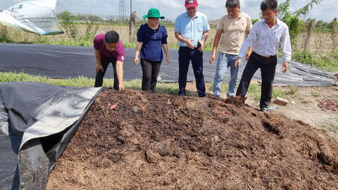 Phát triển chuỗi giá trị sản phẩm từ rơm 