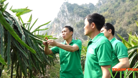Hội Nông dân TP. Sơn La: Nhìn lại một nhiệm kỳ thắng lợi