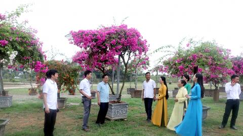 Những mô hình cho doanh thu tiền tỷ