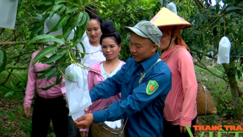 Nông dân Sơn La tích cực thi đua xây dựng nông thôn mới