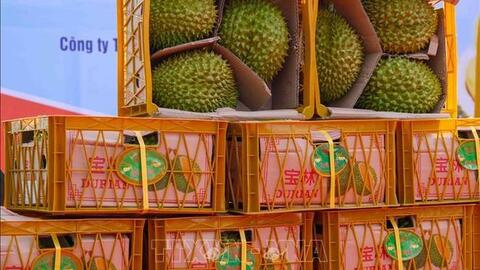 Hỗ trợ đăng ký nhãn hiệu, chỉ dẫn địa lý tại Trung Quốc