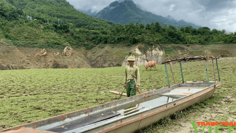 Nhiều tỉnh ở phía Bắc bị thiệt hại nặng do hạn hán