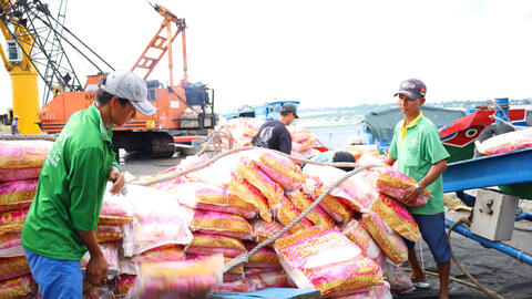 Thủ tướng Chính phủ chỉ thị đảm bảo an ninh lương thực, thúc đẩy sản xuất, xuất khẩu gạo bền vững 