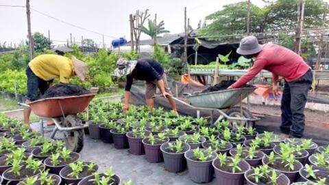 Biến giấc mơ thành hiện thực