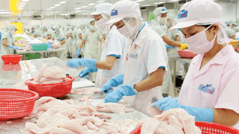 Trung Quốc, Mỹ mua nhiều cá tra nhất của Việt Nam, kỳ vọng xuất khẩu cả năm hơn 1,7 tỷ USD