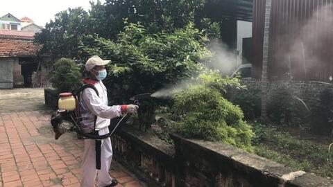 Kiên quyết xử lý các trường hợp không tuân thủ phòng, chống dịch sốt xuất huyết