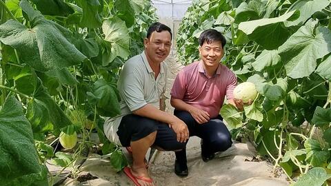 Một nghề các doanh nghiệp, trang trại rất "khát", ra trường có việc ngay nhưng các tỉnh ít quan tâm đào tạo