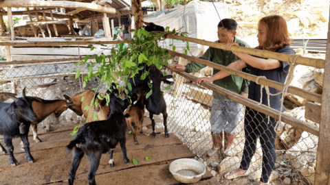 Câu chuyện xây dựng nông thôn mới ở huyện nghèo Đà Bắc