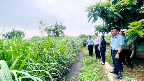 Thu tiền tỷ mỗi năm từ nghề nông