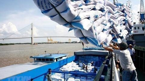 Giá gạo xuất khẩu Việt Nam tiếp tục lập “đỉnh mới” khi đạt 643 USD/tấn