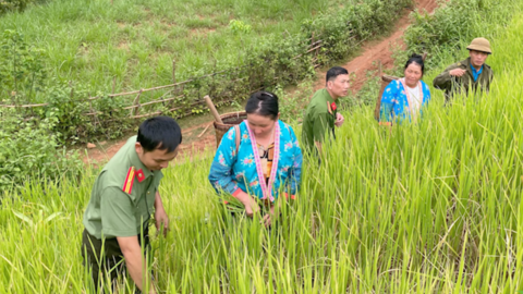 Anh ninh Sơn La: Cùng ăn, cùng ở, cùng làm với đồng bào dân tộc thiểu số vùng cao