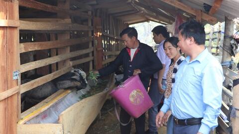 Nông dân Tủa Chùa phát huy tính năng động, sáng tạo trong lao động