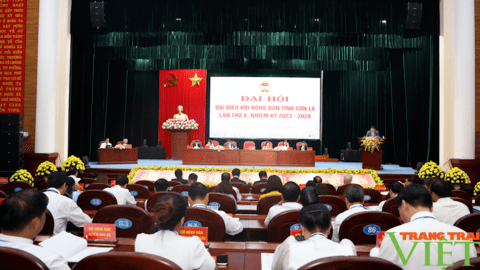 Bầu 31 đồng chí vào Ban chấp hành Hội Nông dân tỉnh Sơn La khóa mới
