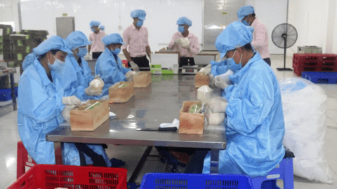 Để nâng cao giá trị cho nông sản 