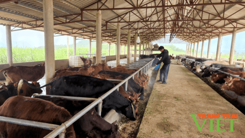 Nông dân Lai Châu thi đua sản xuất, kinh doanh giỏi