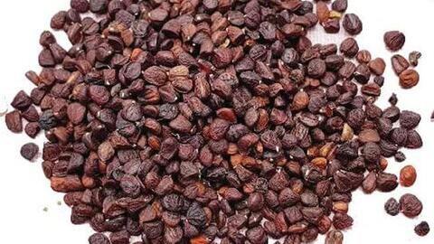 Loại hạt nổi tiếng của Tây Bắc, người dân săn tìm ráo riết, giá tới 2 triệu đồng/kg