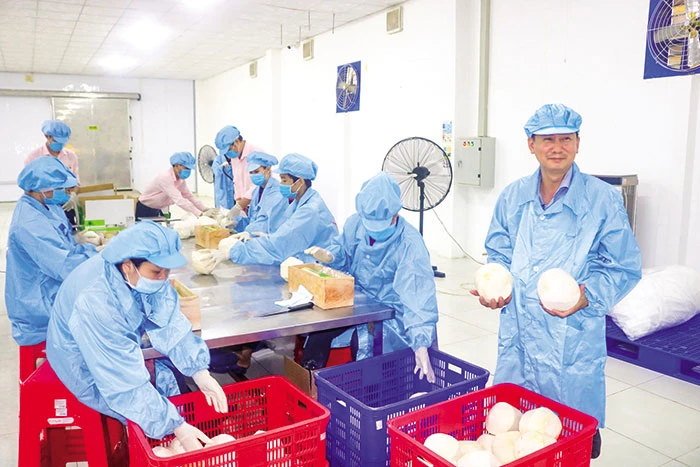 Nông lâm thủy sản duy trì xuất siêu ở mức cao 
