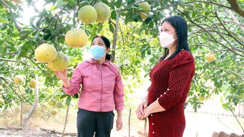 “Kênh” thoát nghèo của đoàn viên