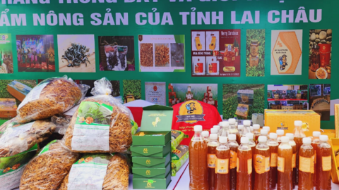 Nậm Nhùn giúp nhà đầu tư, HTX sản xuất, kinh doanh hiệu quả