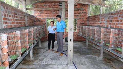 Nuôi chồn hương – mô hình mới, hiệu quả cao ở Quảng Ngãi