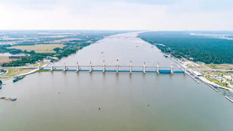 Chủ động ứng phó với hạn mặn đến sớm để không ảnh hưởng sản xuất nông nghiệp 
