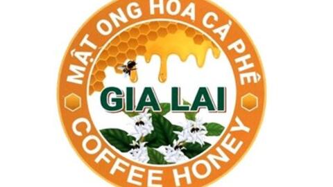 Cấp giấy chứng nhận đăng ký cho nhãn hiệu “Mật ong hoa cà phê Gia Lai - Coffee honey”