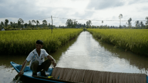 Ngành tôm và thách thức từ nguồn phát thải 