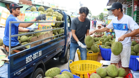 Tiềm năng phát triển xuất khẩu vào khu vực Đông Bắc Á 