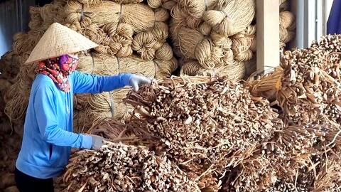 Chuyện phát triển làng nghề ở Phú Xuyên