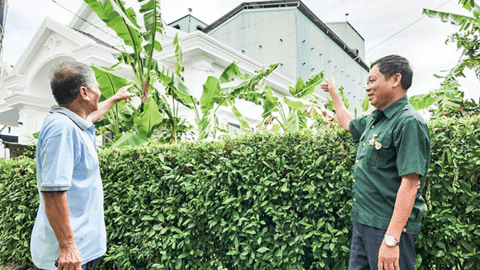 Làm giàu từ nuôi yến 