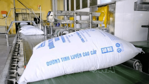 8 doanh nghiệp được giao nhập khẩu 107.000 tấn đường