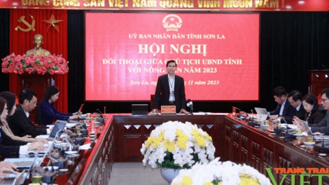Chủ tịch UBND tỉnh Sơn La: Nông dân phải sống được bằng nghề đã đào tạo