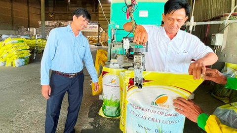 Bứt phá làm giàu 