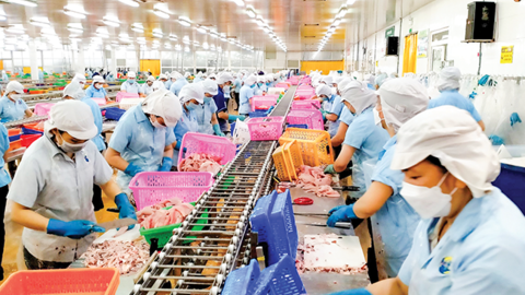 Cấp bách gỡ khó cho xuất khẩu thủy sản 