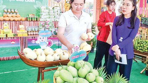 Mô hình hội quán nông dân tại Đồng Tháp mang lại  lợi ích thiết thực 
