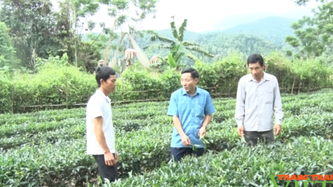 Nông thôn mới ở một xã của Lai Châu, đời sống người dân được nâng cao, bản làng sạch đẹp