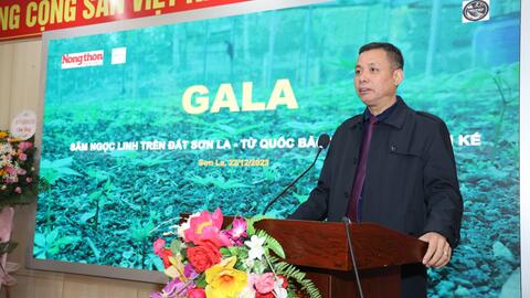 Nhiều giải pháp phát triển Sâm Ngọc Linh trên đất Sơn La